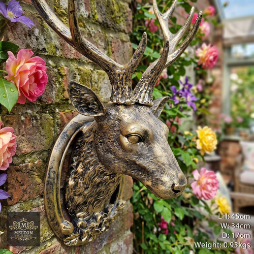 Wall mounted gold stag - stag, head