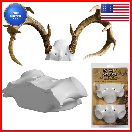 Shed spreader deer antler - shed,