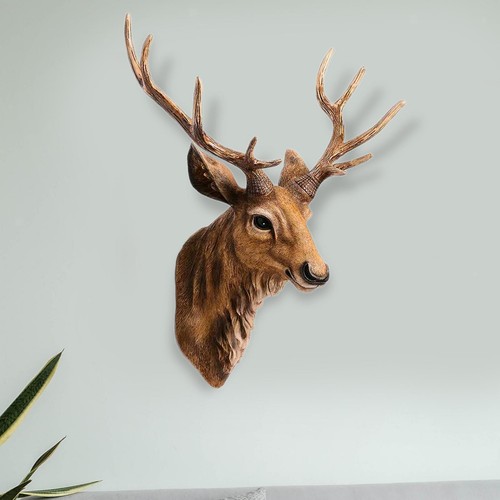 Wall mounted deer head - mounted,