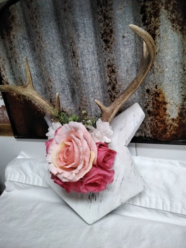 Deer antler wood plaque - antler, on