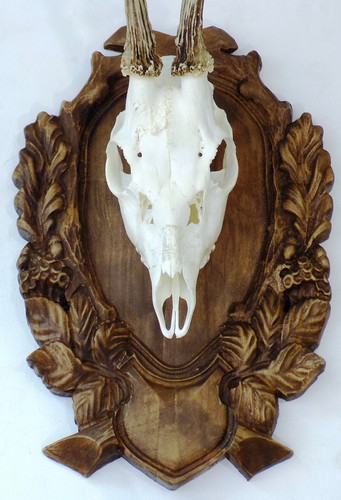 Wooden base shield trophy - wooden,
