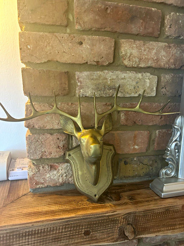 Antique brass stag head wall - brass,
