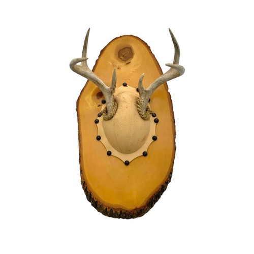 Deer antler wood plaque - deer,