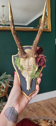 Wall mounted deer - wall-mounted,